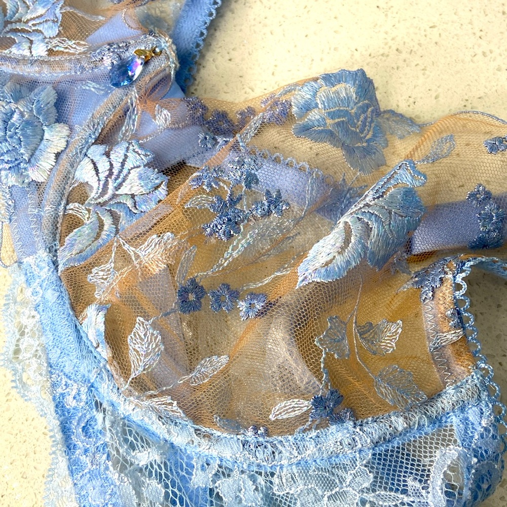 The Baby Blue Honey Birdette Bra - Picture 3 of 4